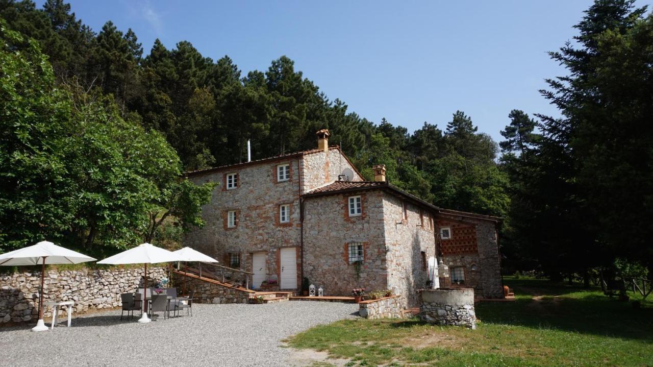 Апартаменти Agriturismo Le Vallilunghe Лукка Екстер'єр фото
