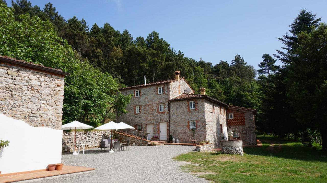 Апартаменти Agriturismo Le Vallilunghe Лукка Екстер'єр фото