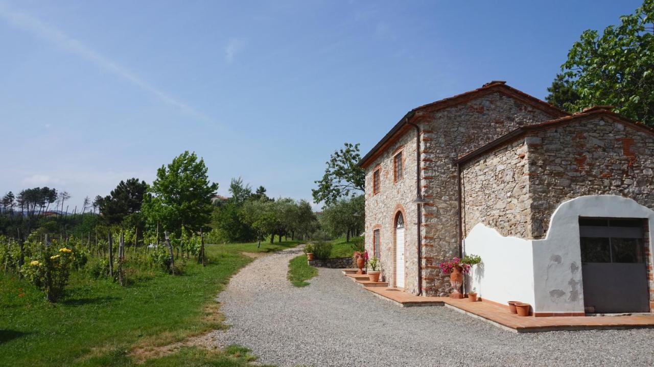 Апартаменти Agriturismo Le Vallilunghe Лукка Екстер'єр фото